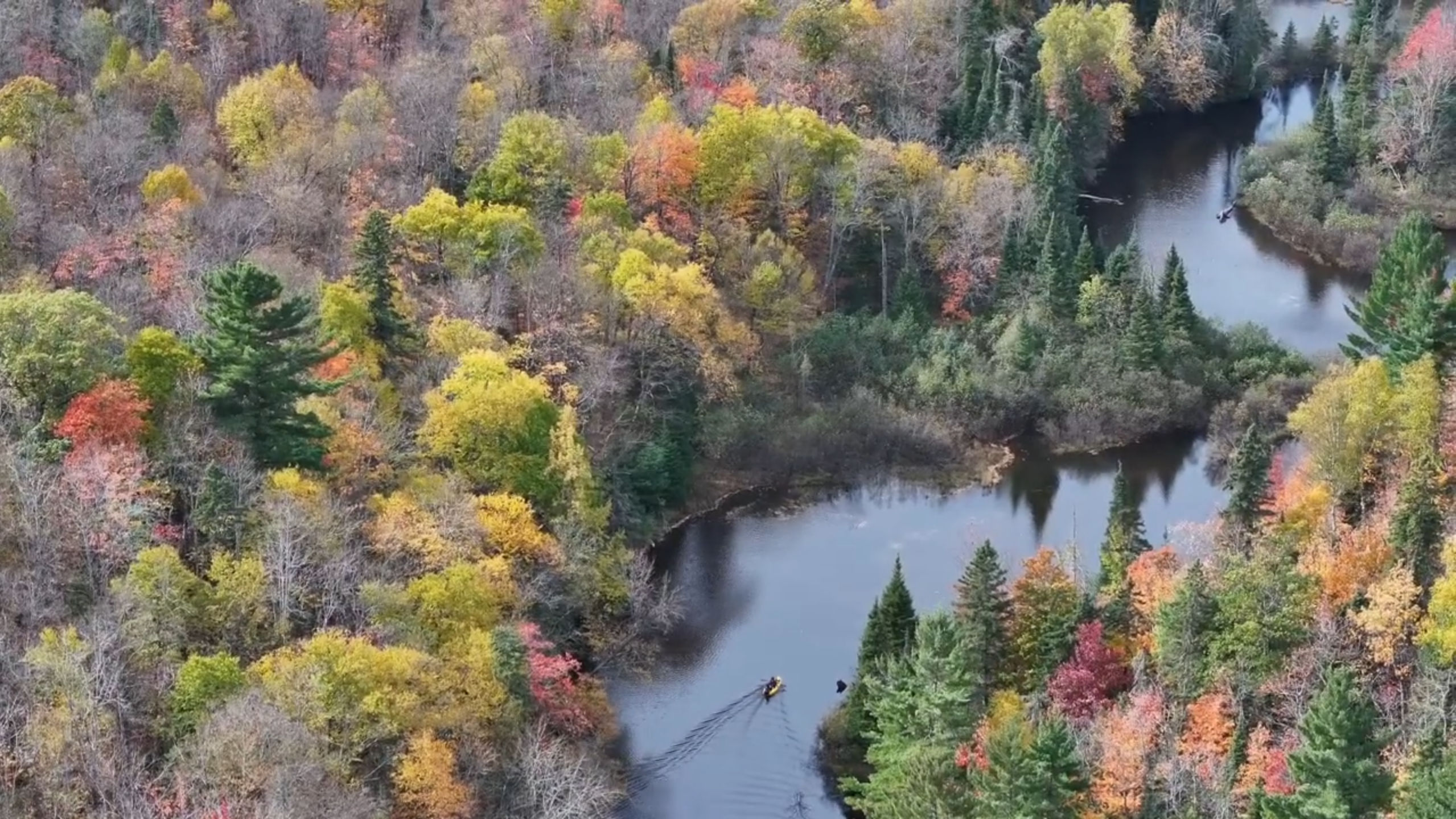 An image from a drone of a kayak being paddled along a river during autumn